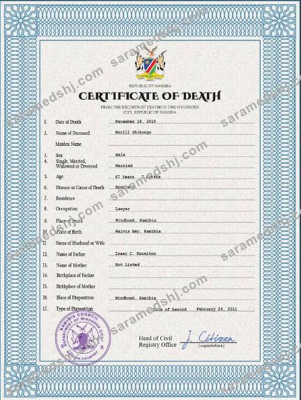Namibia vital record death certificate PSD template